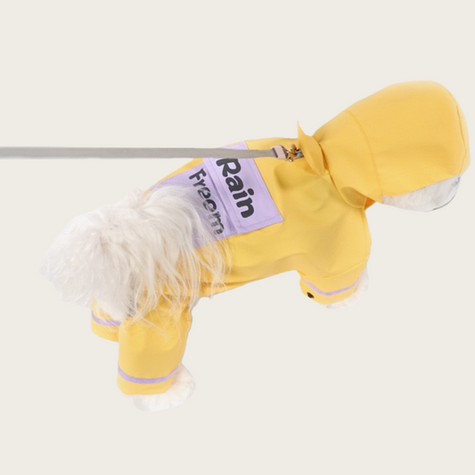 Multi-functional Outdoor Dog Raincoat | for small dog