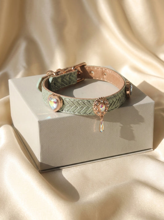 Luxury Quality Mint Green Dog Collar