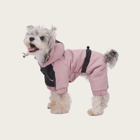 Waterproof Graphene Padded Jacket | for small dog