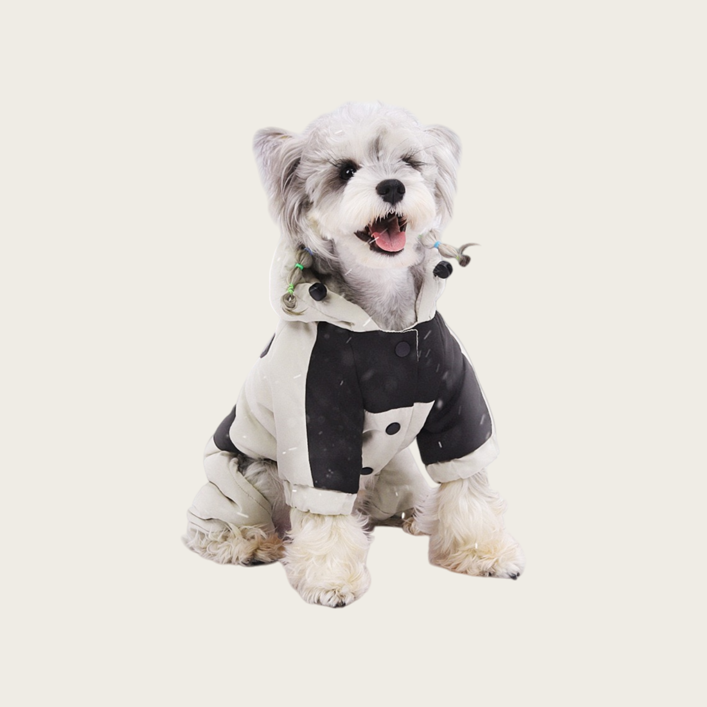 Waterproof Graphene Padded Jacket | for small dog
