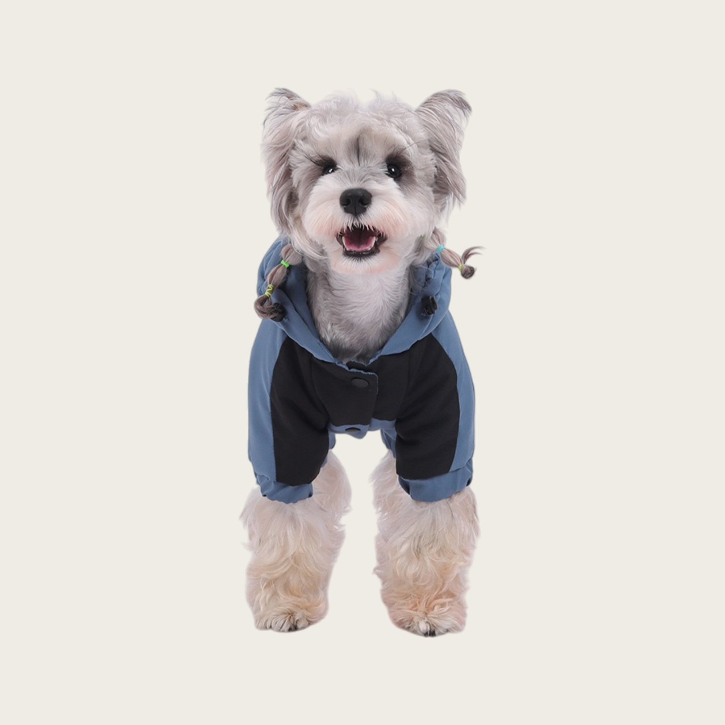 Waterproof Graphene Padded Jacket | for small dog