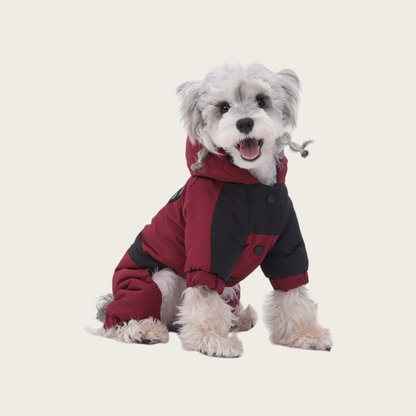 Waterproof Graphene Padded Jacket | for small dog