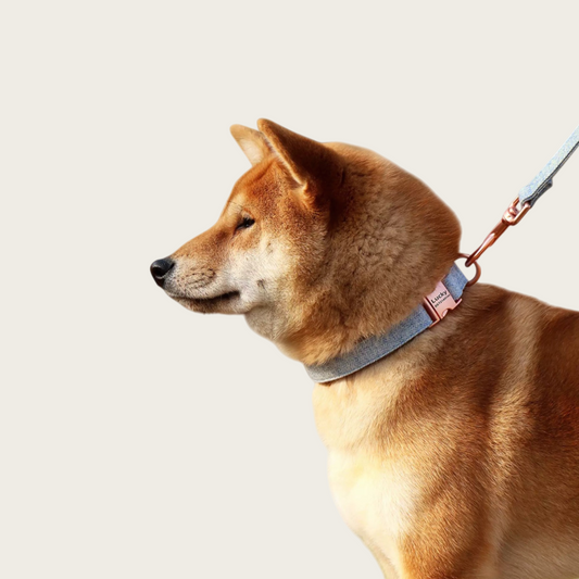 Solid Tweed Dog Collar | personalization