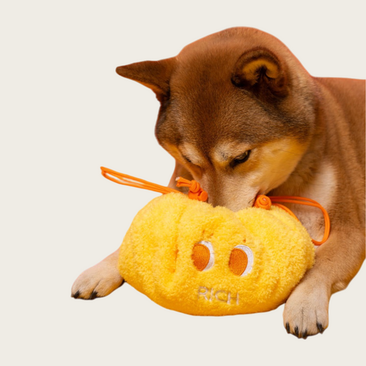 Pizza Scent Interactive Dog Toy