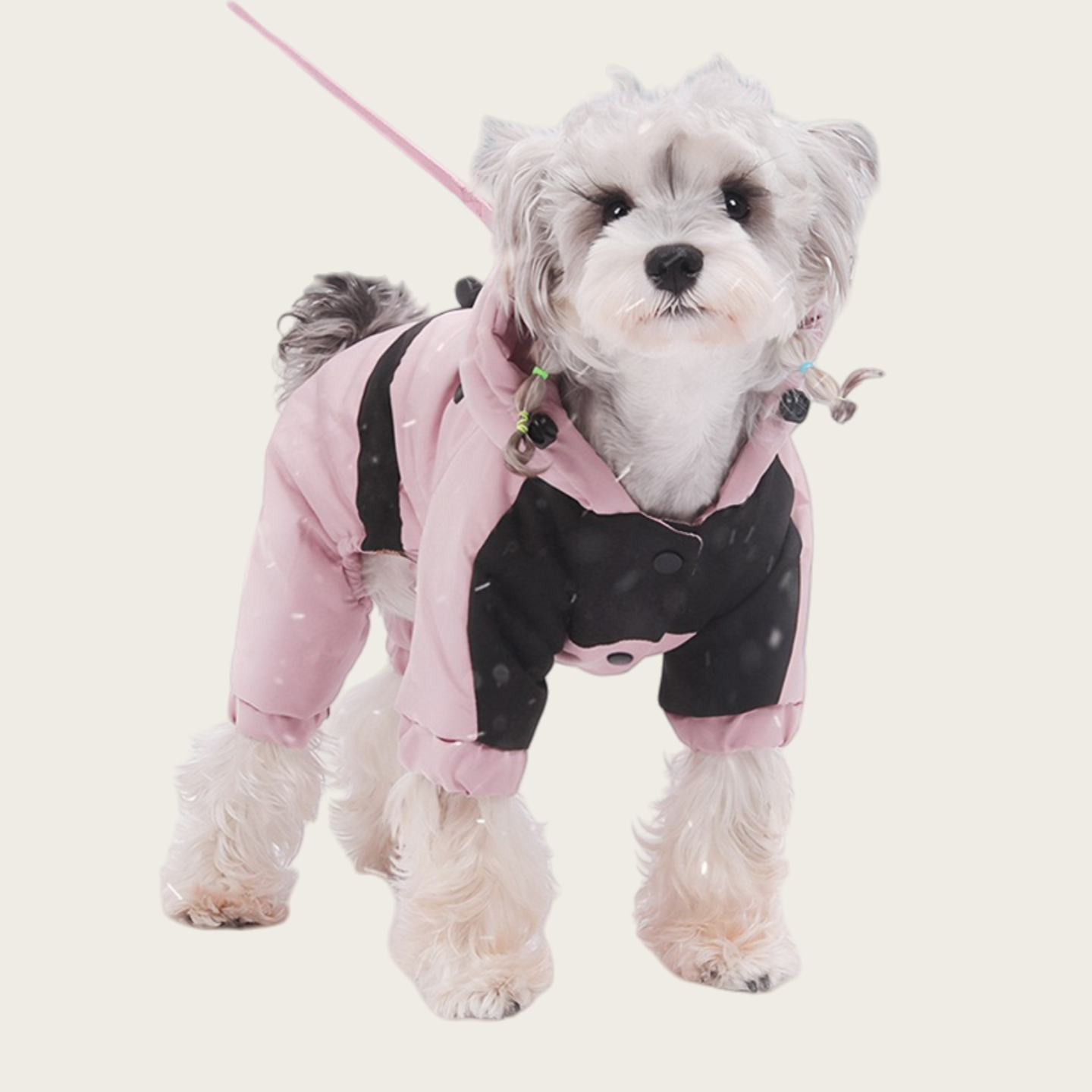 Waterproof Graphene Padded Jacket | for small dog