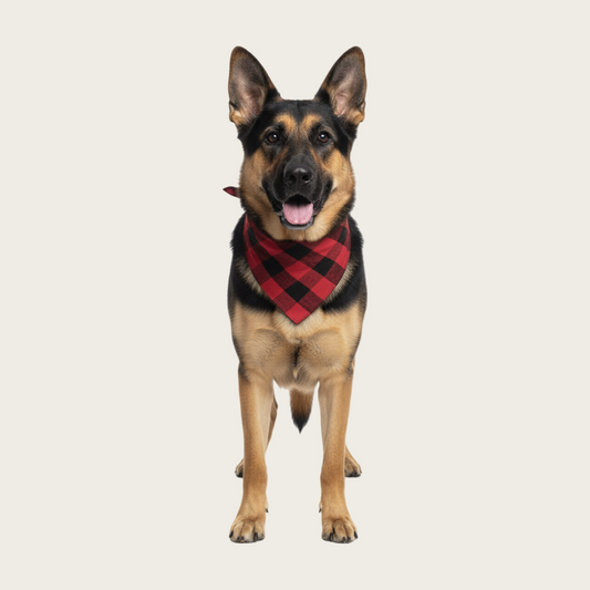 Classic Red and Green Plaid Dog Bandana