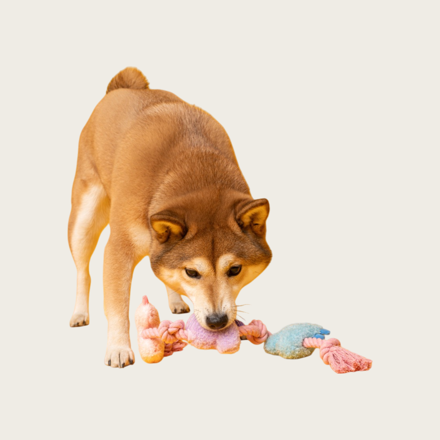 Rope Knot Chew-Resistant Monster Squeaky Dog Toy