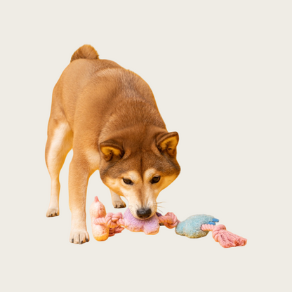 Rope Knot Chew-Resistant Monster Squeaky Dog Toy