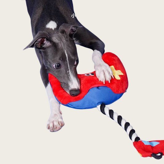 Rope Knot Handle Squeaky Dog Toy