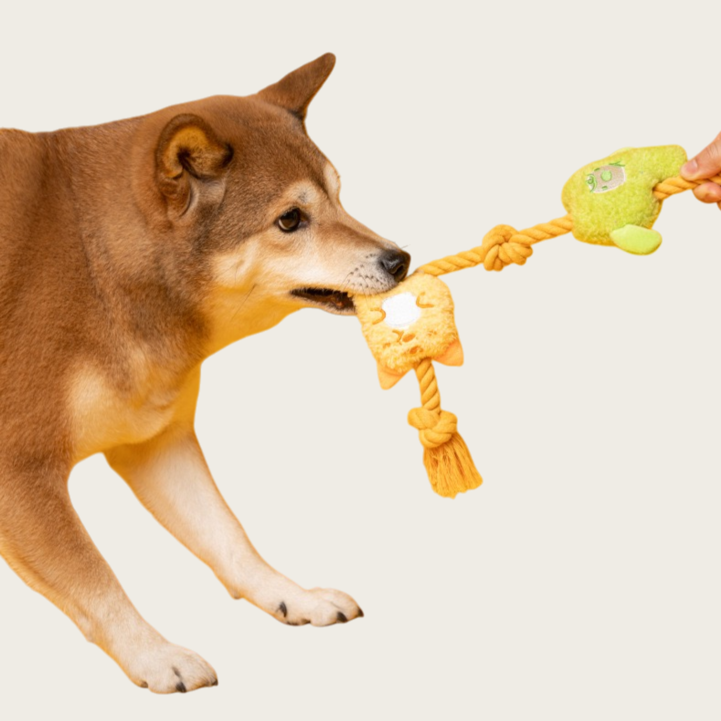 Rope Knot Chew-Resistant Monster Squeaky Dog Toy