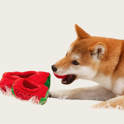 Dog Chew Toy Bouncy Ball