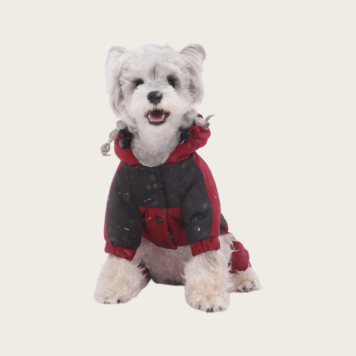 Waterproof Graphene Padded Jacket | for small dog