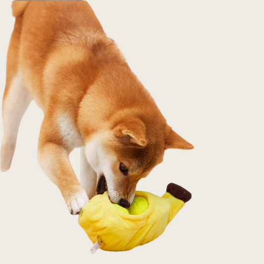 Dog Chew Toy Bouncy Ball