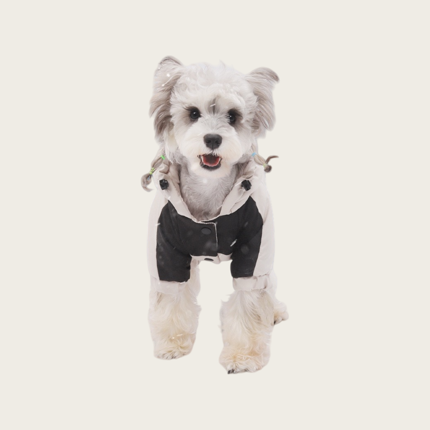 Waterproof Graphene Padded Jacket | for small dog