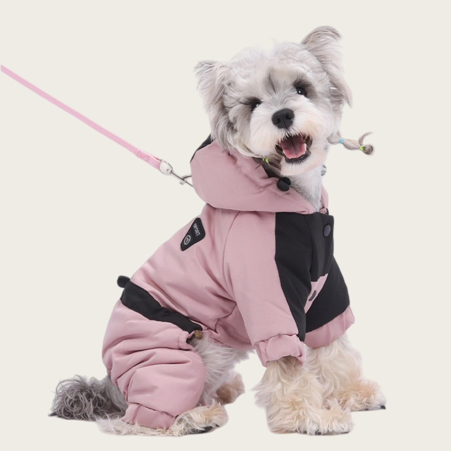 Waterproof Graphene Padded Jacket | for small dog