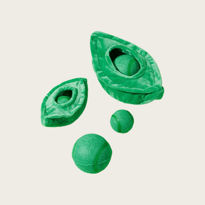 Dog Chew Toy Bouncy Ball