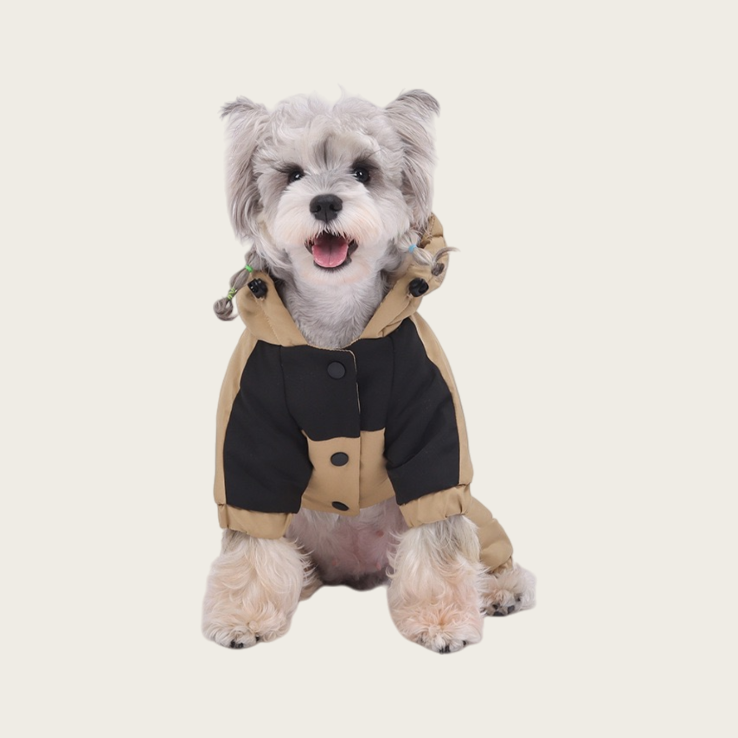 Waterproof Graphene Padded Jacket | for small dog