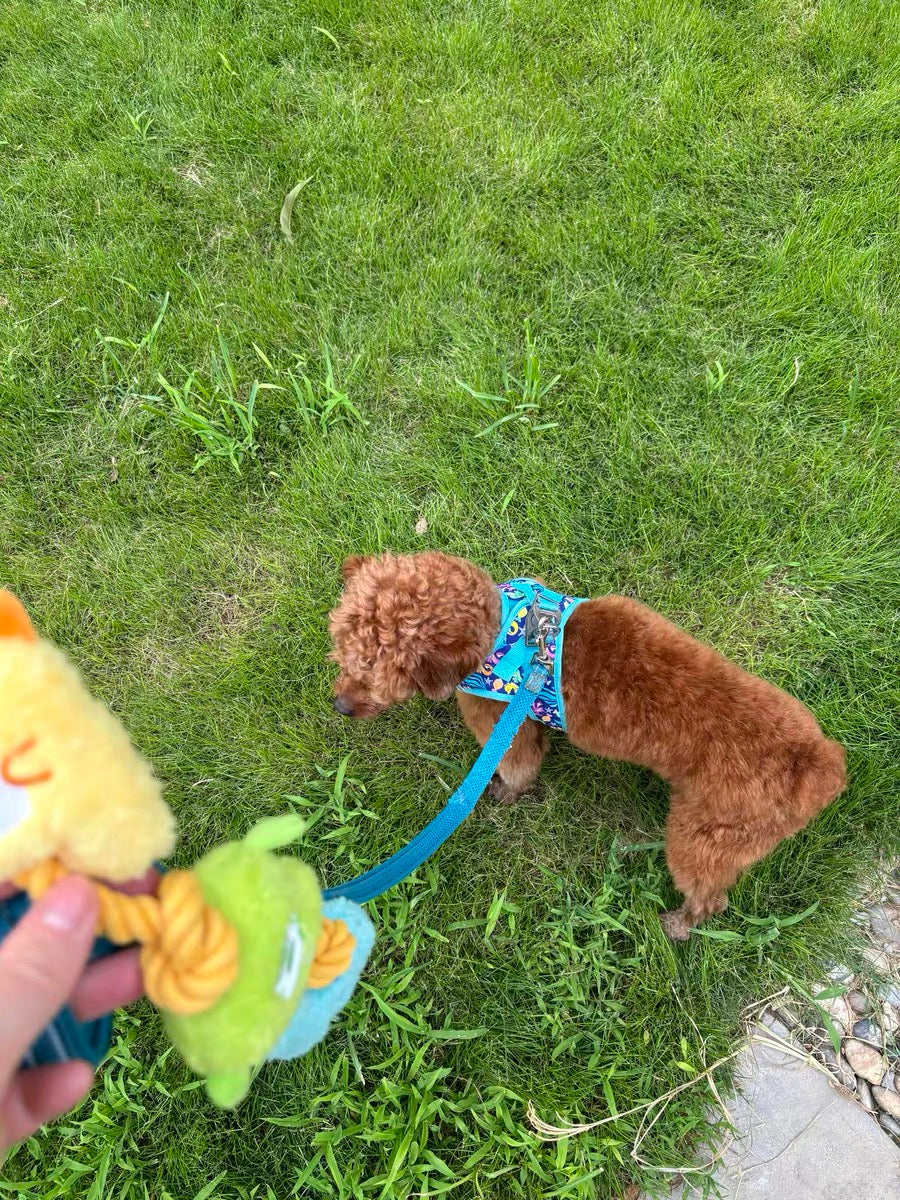 Rope Knot Chew-Resistant Monster Squeaky Dog Toy