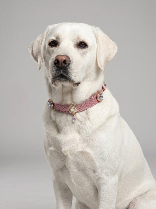 Premium Textured Light Pink Dog Collar