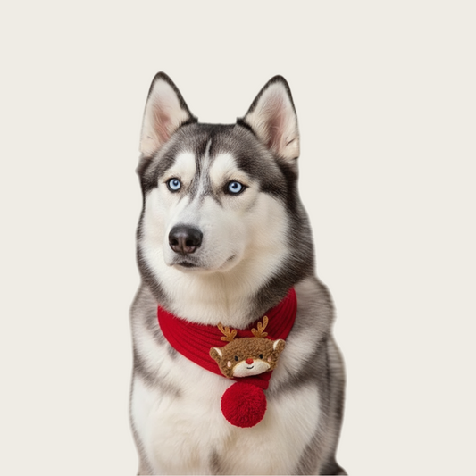 Christmas Tree & Reindeer Holiday Knitted Dog Bandana