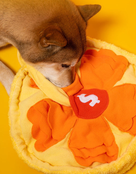Pizza Scent Interactive Dog Toy