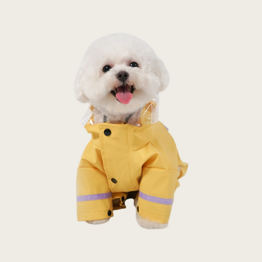Multi-functional Outdoor Dog Raincoat | for small dog