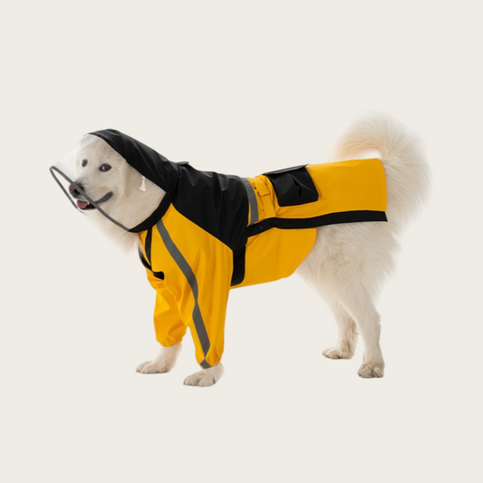 Multi-functional Outdoor Dog Raincoat | for big dog