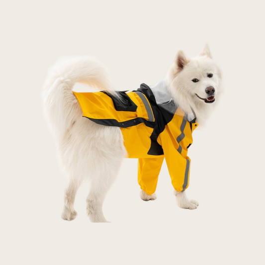 Multi-functional Outdoor Dog Raincoat | for big dog